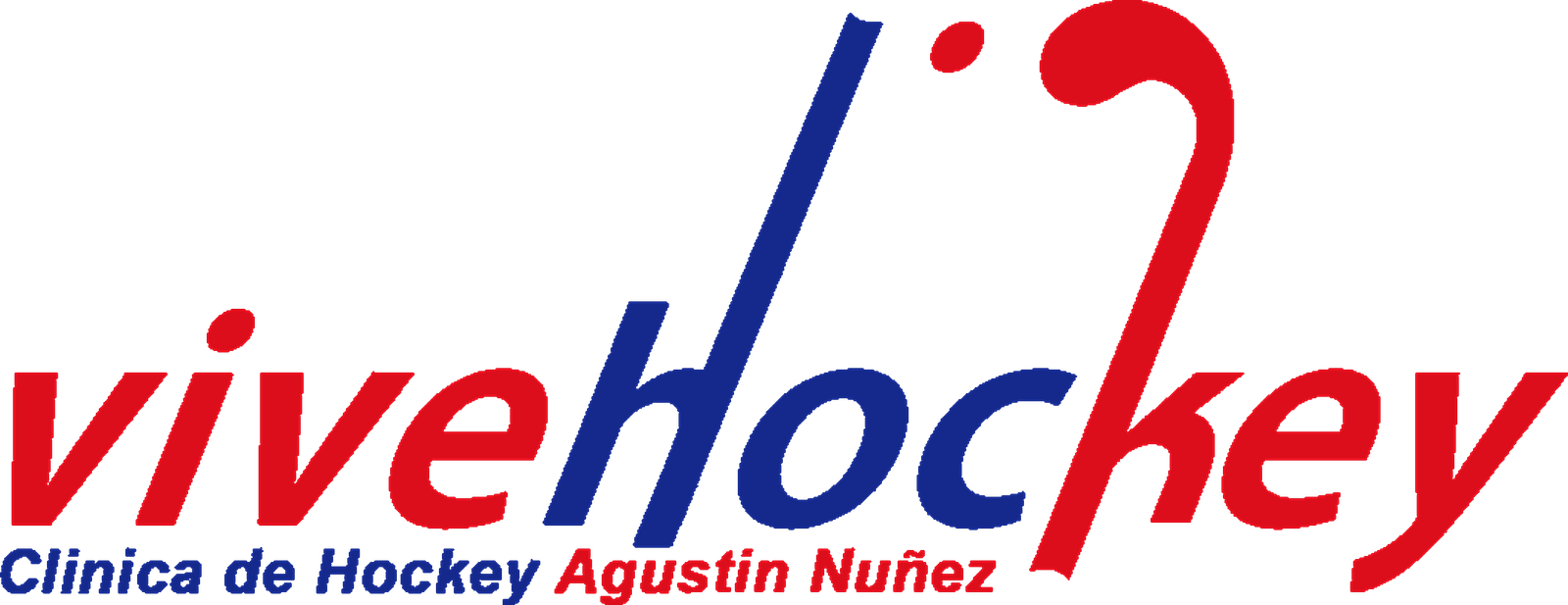 ViveHockey