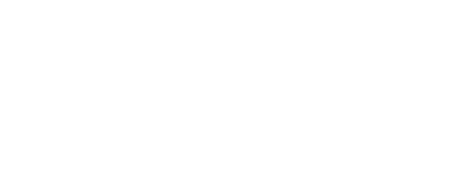 ViveHockey